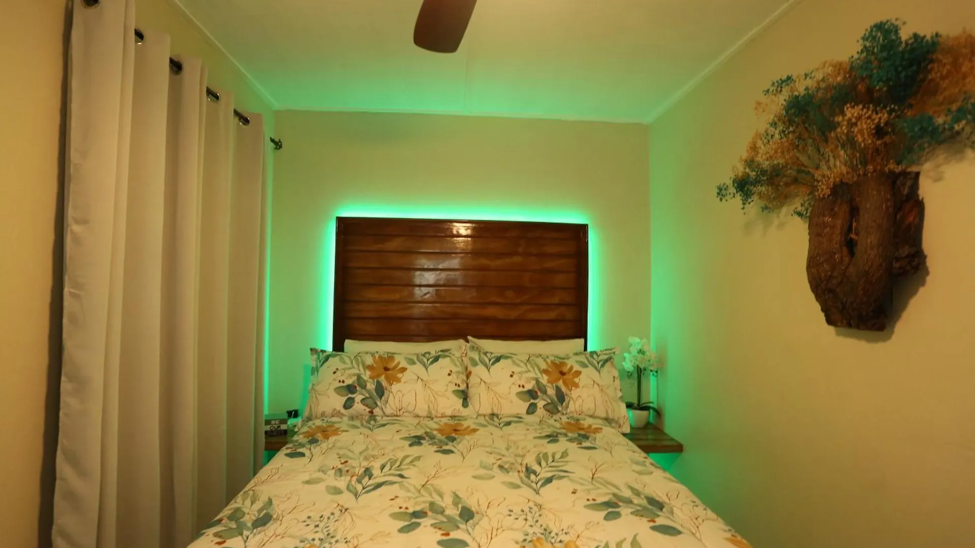 Hidden Gem Apartment Kingston